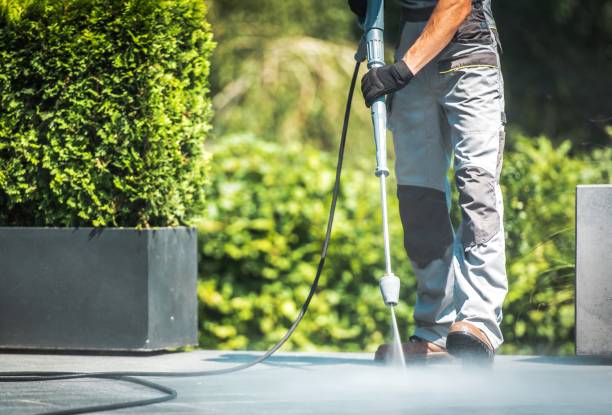Best Driveway Pressure Washing  in Blue Rapids, KS