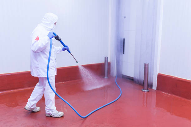 Best Warehouse Cleaning  in Blue Rapids, KS